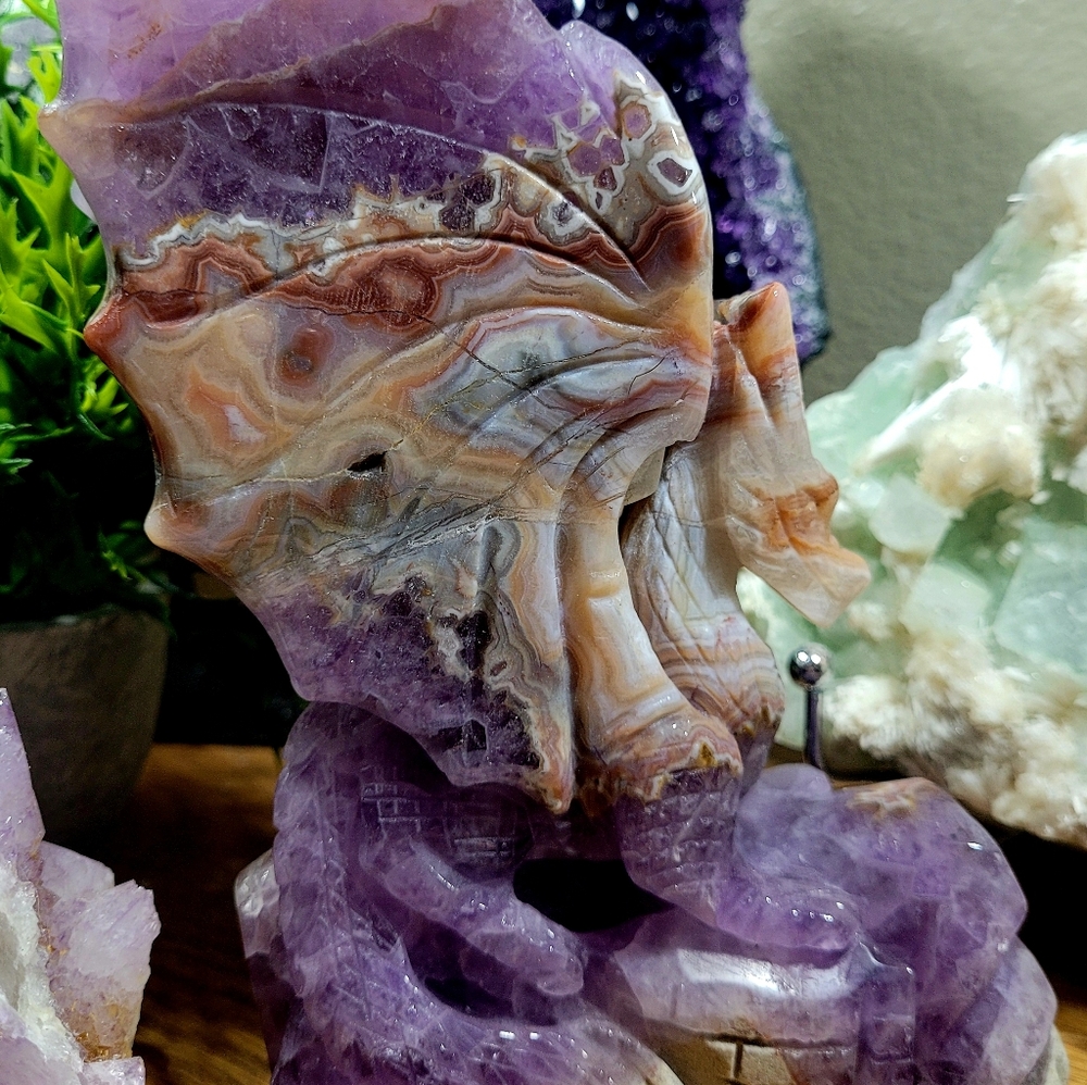 Beautiful.Amythyst Crazy Lace Carved Flying Dragon